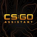 CS:2 Assistant APK