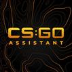 ”CS:GO Assistant