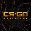 CS:2 Assistant