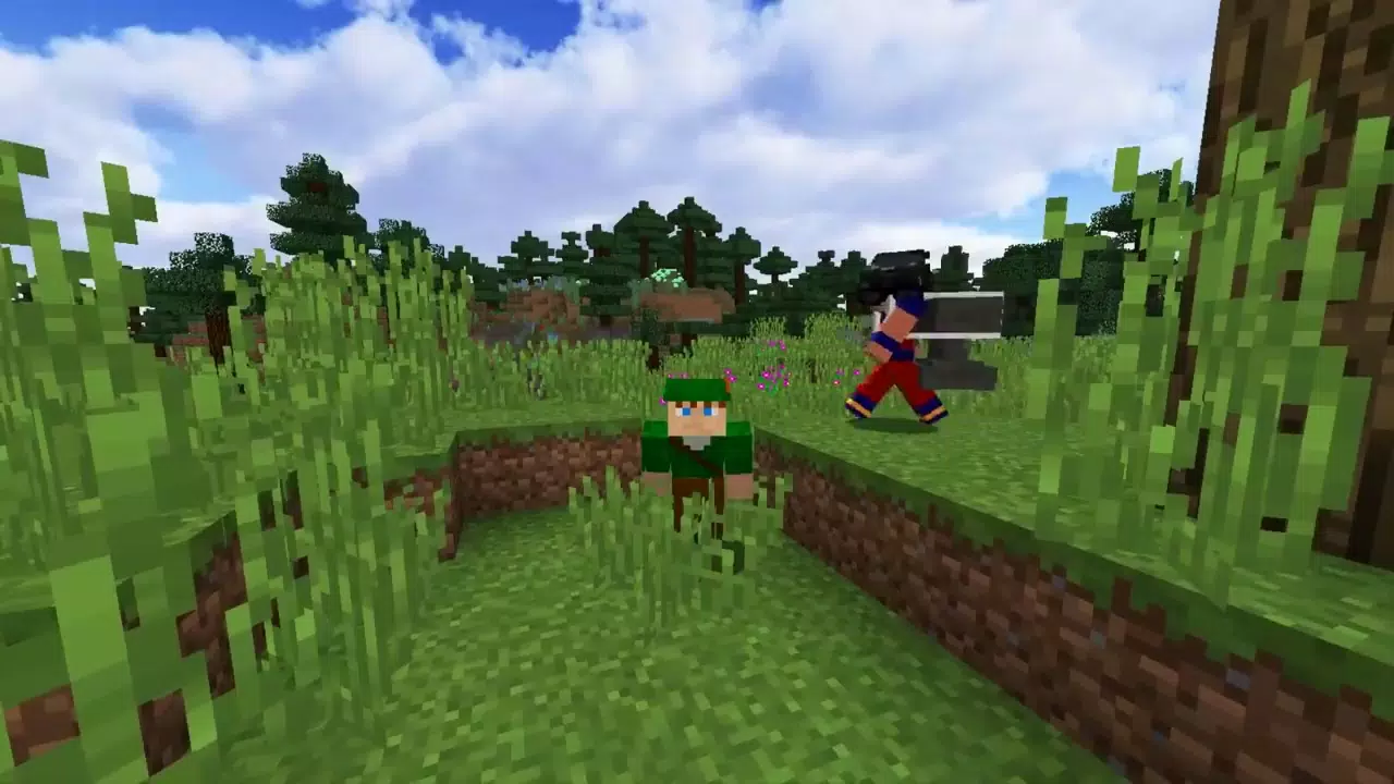 Brazil Gamer  BETO VS ROBIN HOOD NO DRAGON BALL MINECRAFT