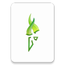 Torch APK