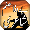Bewafa Shayari APK