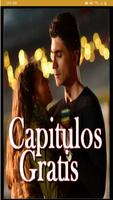 serie turca la novia de estambul capitulos gratis โปสเตอร์