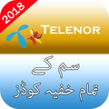Secret Codes of Telenor