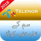 Secret Codes of Telenor Zeichen