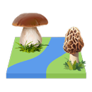 APK Mushroom Map