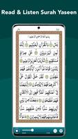 Quran Tilawat & Surah Yaseen imagem de tela 2