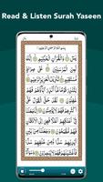 Quran Tilawat & Surah Yaseen تصوير الشاشة 2