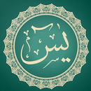 Surah Yaseen Mp3 and Reading APK