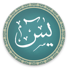 Surah Yaseen AdFree - Audio Mp أيقونة