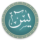 Surah Yaseen AdFree - Audio Mp3 and Reading APK