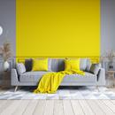 Room Painting Ideas 5000+ APK