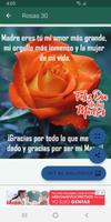 Rosas y Poemas Para Mamá Cartaz