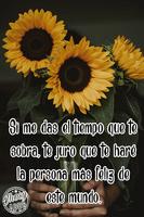 Flores y Rosas de Amor ảnh chụp màn hình 3