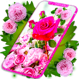 Pink Rose Live Wallpaper πΉ Parallax 4K Wallpapers