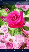 3 Schermata Pink Rose 4K Live Wallpaper