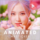 Rose Animated WASticker icône