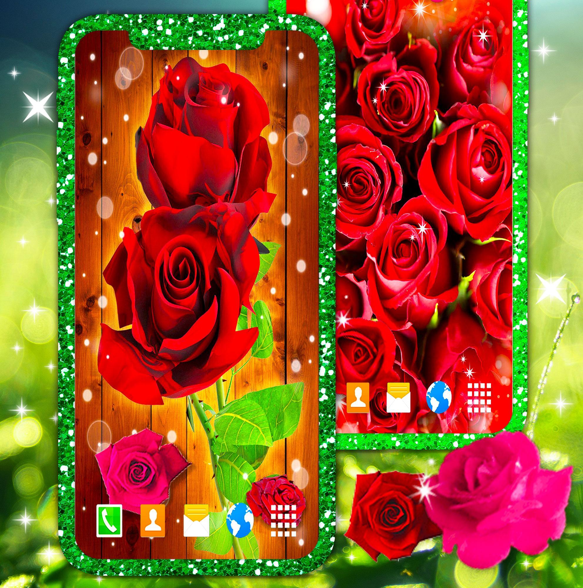 Red Rose Live Wallpaper For Android Apk Download Red Rose Live Wallpaper For Android Apk Download