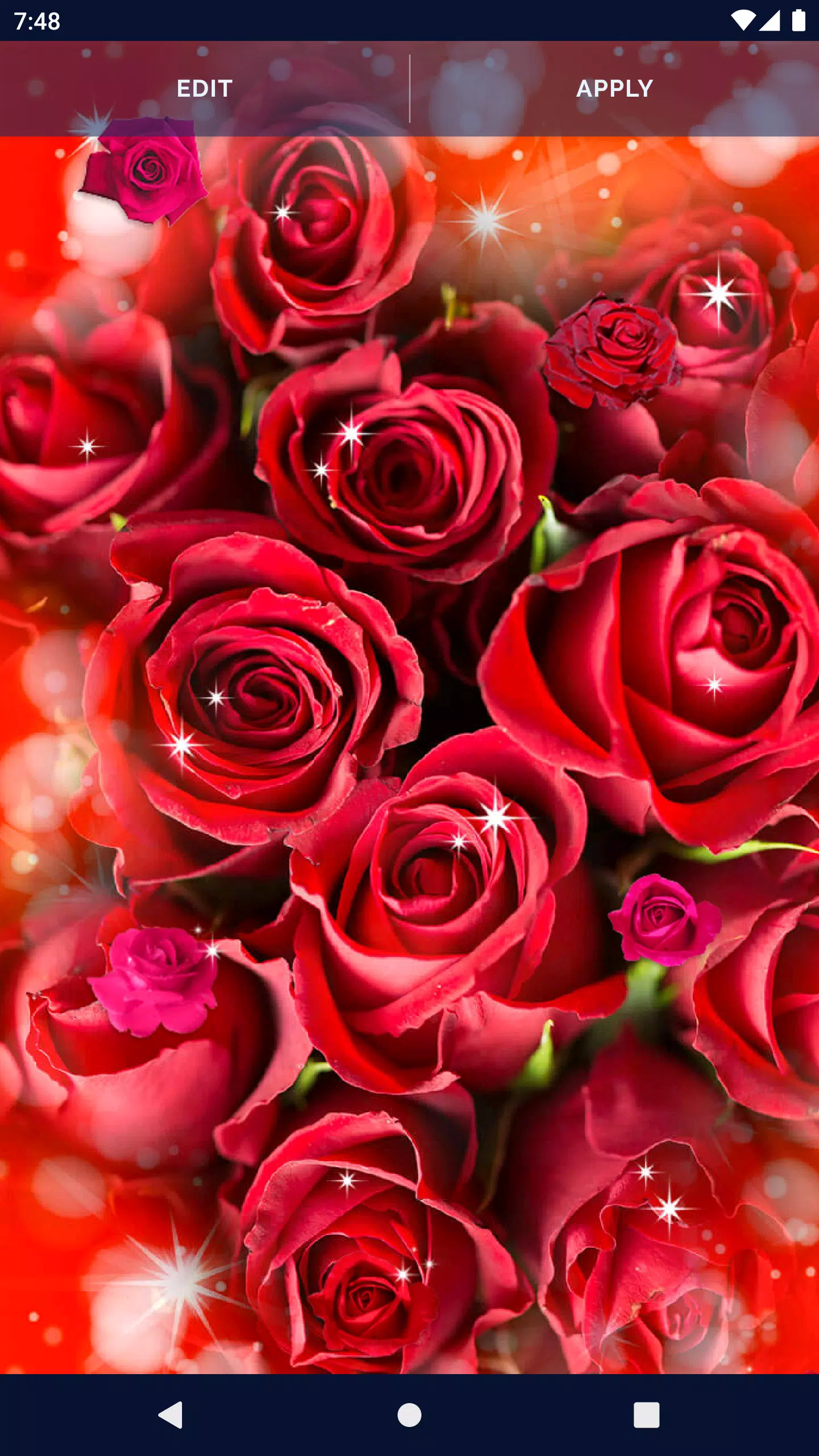 Elegant RedRose Live Wallpaper APK for Android Download Elegant RedRose Live Wallpaper APK for Android Download