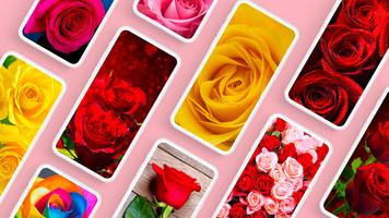 Hintergrundbilder mit Rose 4K Plakat