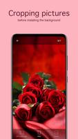 Rose Wallpapers 4K screenshot 3