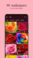 Rose Wallpapers PRO 截图 1