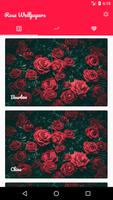 Rose Wallpapers Affiche