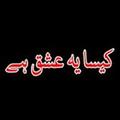 Kaisa Yeh Ishq Hai  Novel