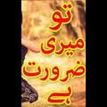 Tu Meri Zaroorat Hai