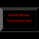 Zindagi Dhoop Tum Ghana Saya - Book APK