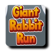 Rabbit run: street run APK