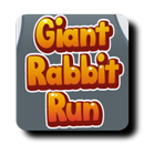 Rabbit run: street run APK
