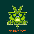 Rabbit Run