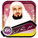 الغامدي مصحف الكريم بدون انترنت (offline) APK