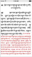 Dharma Treasure syot layar 1