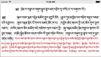Dharma Treasure syot layar 3