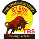 TBS FM The BULL APK