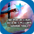 ABRIENDO LOS CIELOS D VICENTE