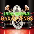 radio bandas regionales Oaxaqueños