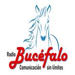 RADIO BUCEFALO