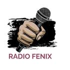 FM Ser 106.1 simgesi