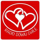 Radio Down Chile icon