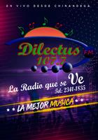 Radio Dilectus plakat
