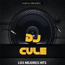 RADIO DJ CULE APK