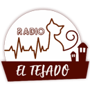 Radio el tejado APK