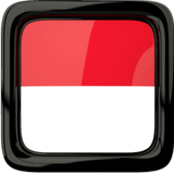 Radio Online Indonesia icône