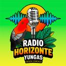 Radio Horizonte Yungas APK