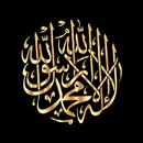Radio Islam International Stations APK