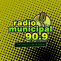 Radio Municipal FM Sintonía: 9 Affiche