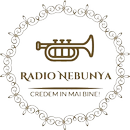 Radio NebunYa Nebunia Manele APK